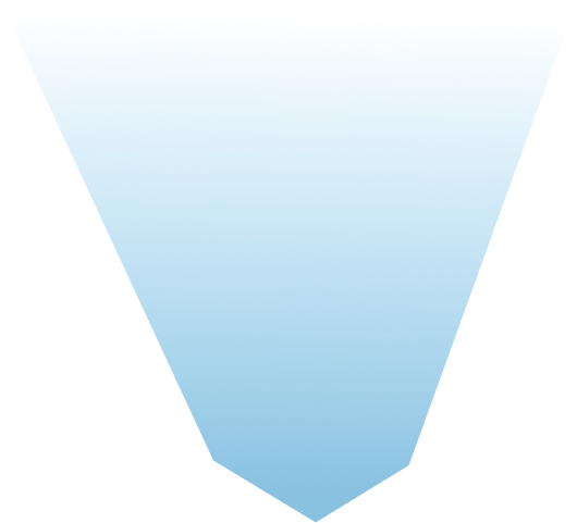 Vector